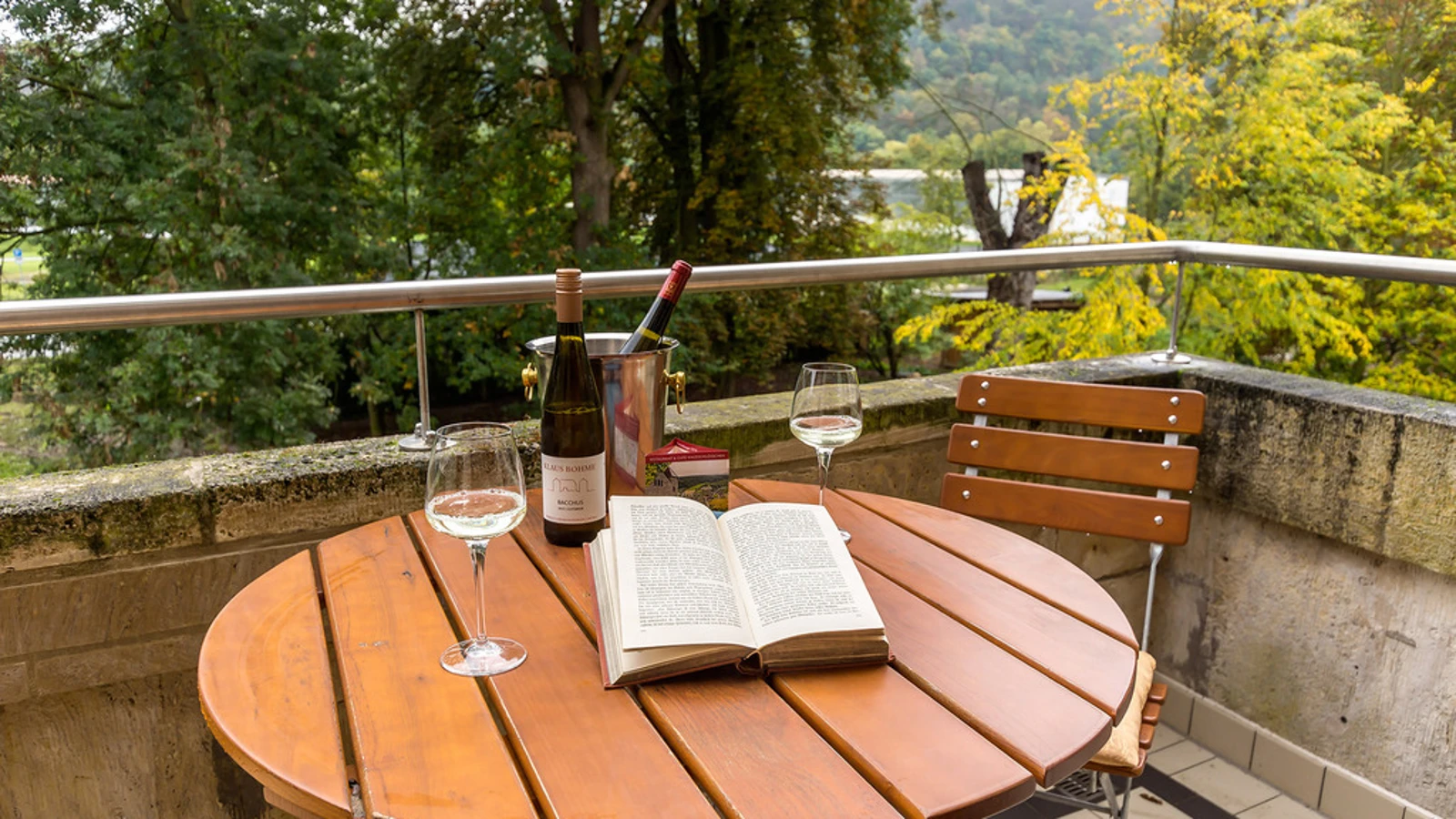 Lesen, Wein, Aussicht